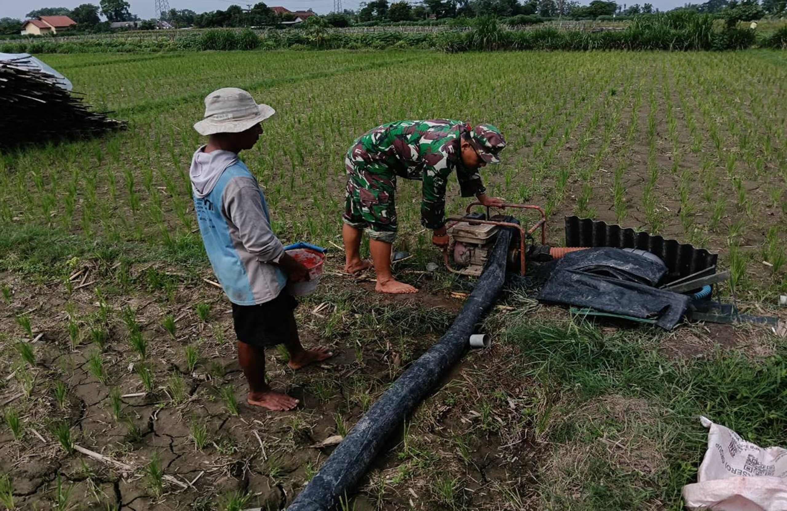 Jaga Tersedia Air, Babinsa Kendalrejo Dampingi Pengaliran Pompa Air Pok Tani Sari Murni