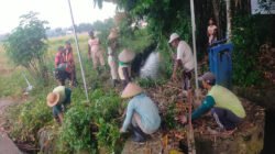 Bersama Warga, Babinsa Gogodeso Gotong Royong Bersihkan Lingkungan Dan Saluran Air