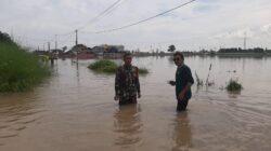 Koramil 0820/12 Kraksaan Bersama Pihak Terkait Pantau Dampak Banjir