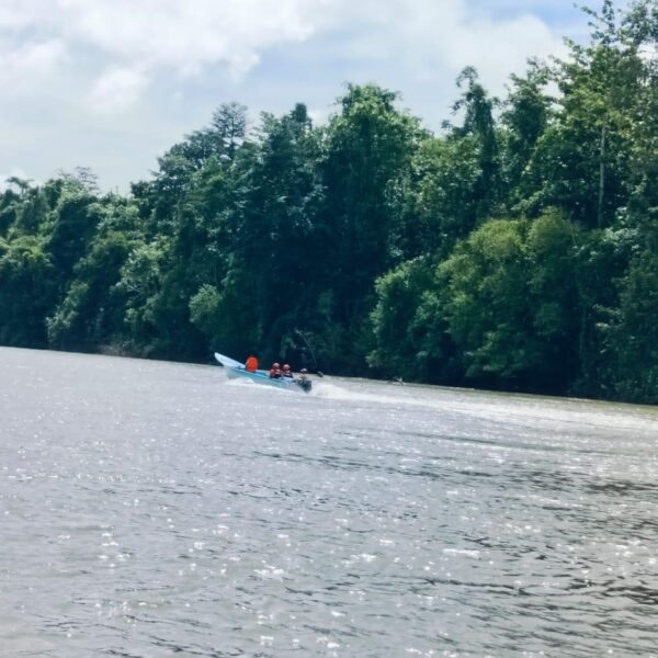 Pencarian IPTU TOMI SAMUEL MARBUN di Sungai Rawara Hingga Kampung Yakora Teluk Bintuni, POLRI Bersa TNI dan Basarnas Laksanakan Giat Bersama di Hari Pertama