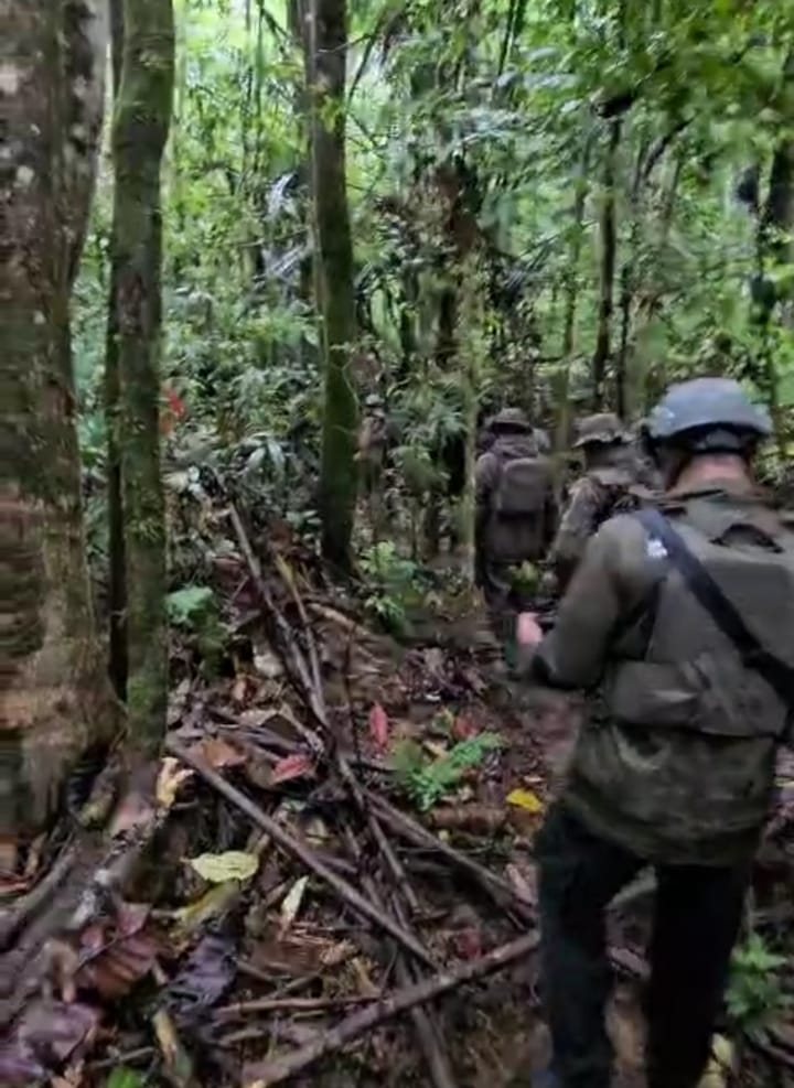 Personel Berjalan Kaki Sisir Daratan Dalam Pencarian Iptu Tomi Samuel Marbun