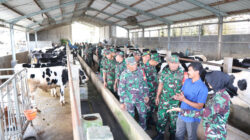 Bekali Prajurit Jelang Masa Pensiun Kodim 0808 Berikan Pengetahuan Beternak Sapi Perah