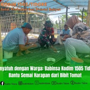 Menyatuh dengan Warga: Babinsa Kodim 1505 Tidore Bantu Semai Harapan dari Bibit Tomat Menyatuh dengan Warga: Babinsa Kodim 1505 Tidore Bantu Semai Harapan dari Bibit Tomat