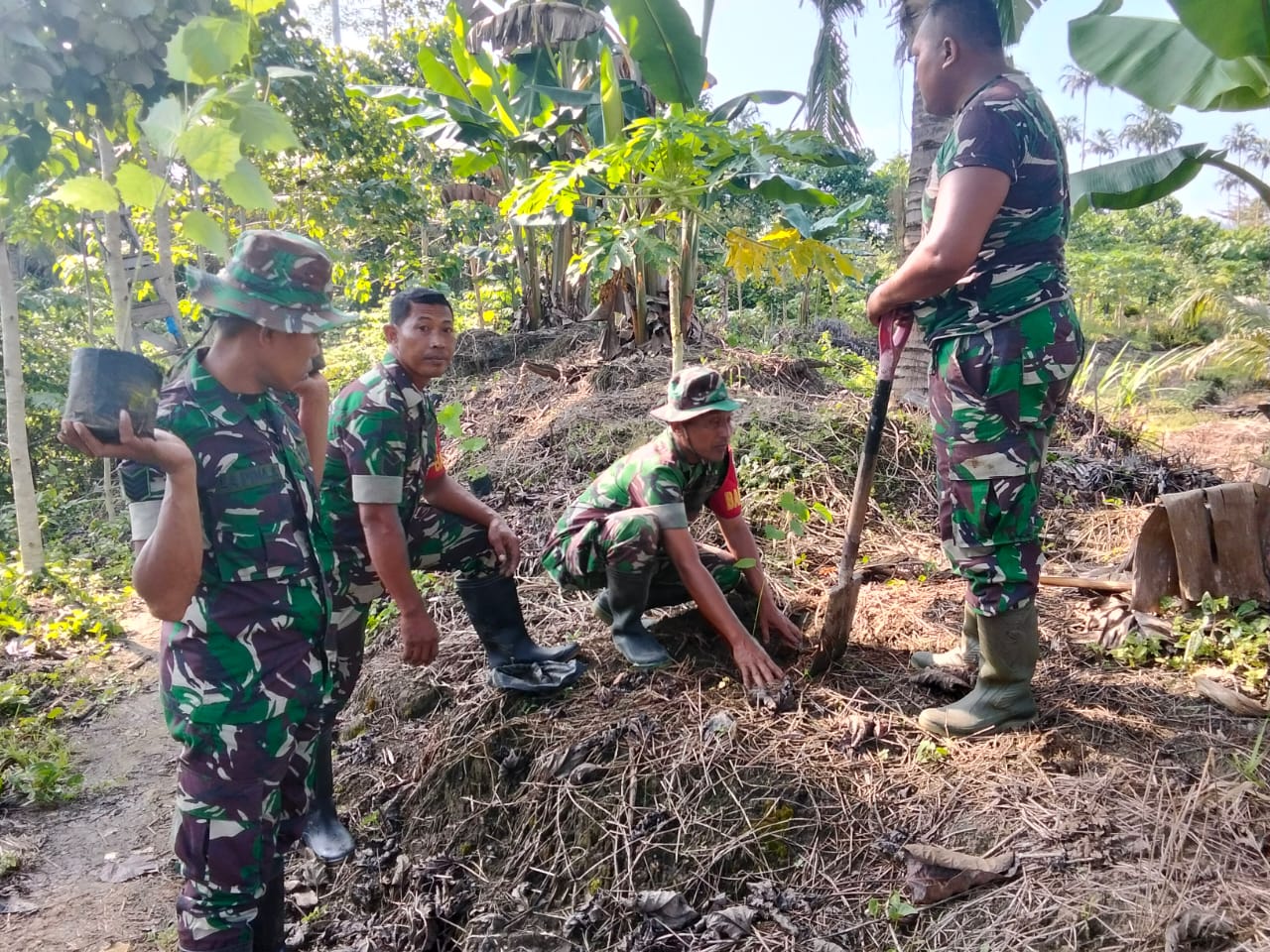 Peduli Lingkungan, TNI Tanam 700 Pohon Gmelina di Wasile Timur