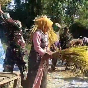 Koramil Sukapura Dukung Program Serapan Gabah Petani Demi Ketahanan Pangan Nasional