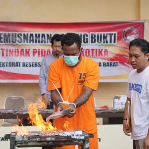 Polda Papua Barat Musnahkan Barang Bukti Narkoba Jenis Ganja Sebanyak 353,99 Gram