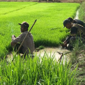 Pembangunan Bidang Ketahanan Pangan Program TMMD Ke-124 Kodim 1802/Sorong Capai 84 Persen Pembangunan Bidang Ketahanan Pangan Program TMMD Ke-124 Kodim 1802/Sorong Capai 84 Persen