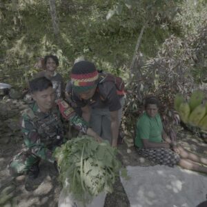 Bantu Perokonomian Petani di Papua, Satgas Yonif 715/Mtl Borong Hasil Tani Bantu Perokonomian Petani di Papua, Satgas Yonif 715/Mtl Borong Hasil Tani