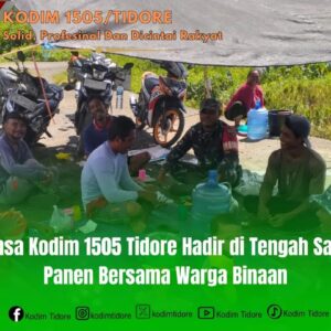 Babinsa Kodim 1505 Tidore Hadir di Tengah Sawah, Panen Bersama Warga Binaan Babinsa Kodim 1505 Tidore Hadir di Tengah Sawah, Panen Bersama Warga Binaan