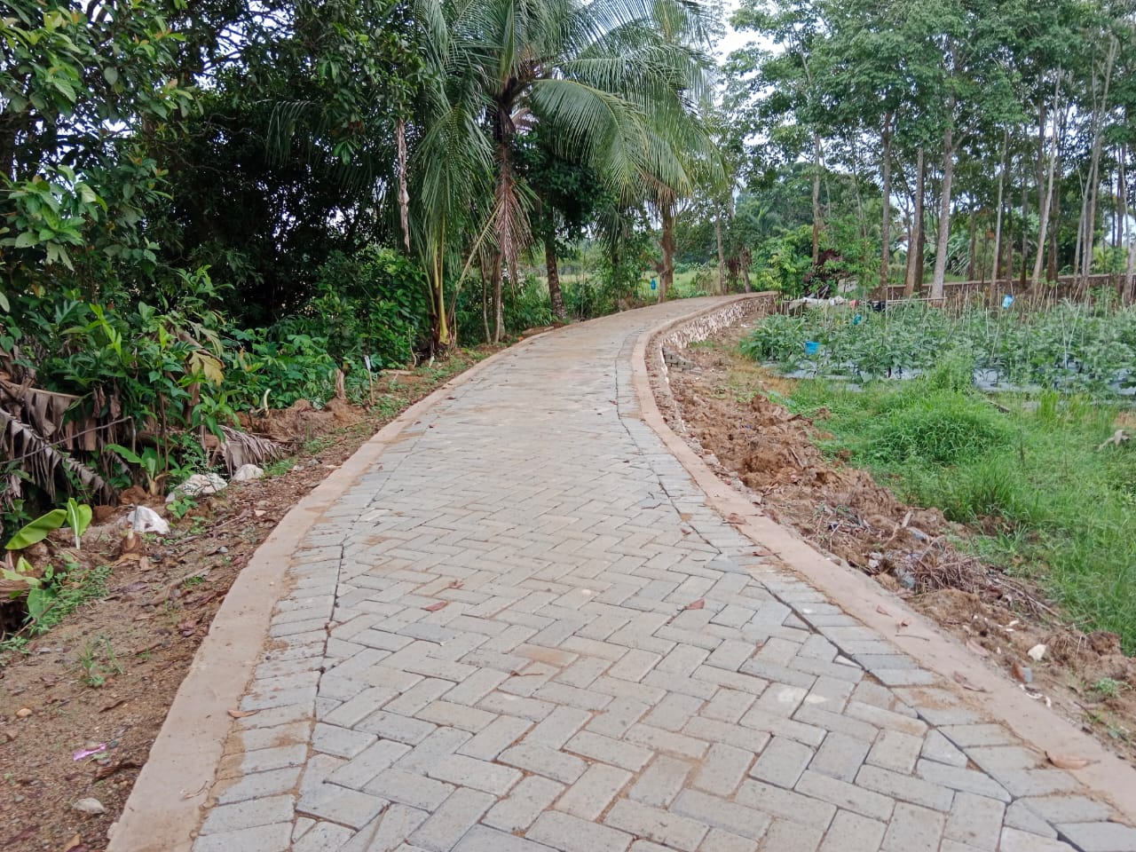 TMMD Ke-124 HST Rampungkan Jalan 1030 Meter di Pengambau Hilir