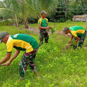Hijaukan Perbatasan, Satgas Pamtas Yonarmed 11 Kostrad Wujudkan Ketahanan Pangan Hijaukan Perbatasan, Satgas Pamtas Yonarmed 11 Kostrad Wujudkan Ketahanan Pangan