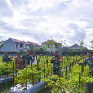 Dandim 1710/Mimika Tinjau Ketahanan Pangan Di Lahan Percontohan Petani Binaan