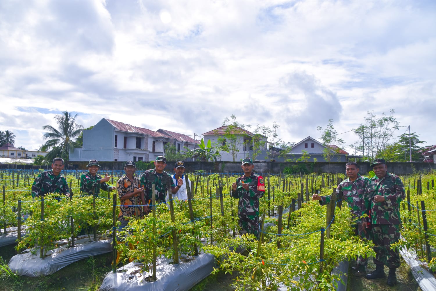 Dandim 1710/Mimika Tinjau Ketahanan Pangan Di Lahan Percontohan Petani Binaan