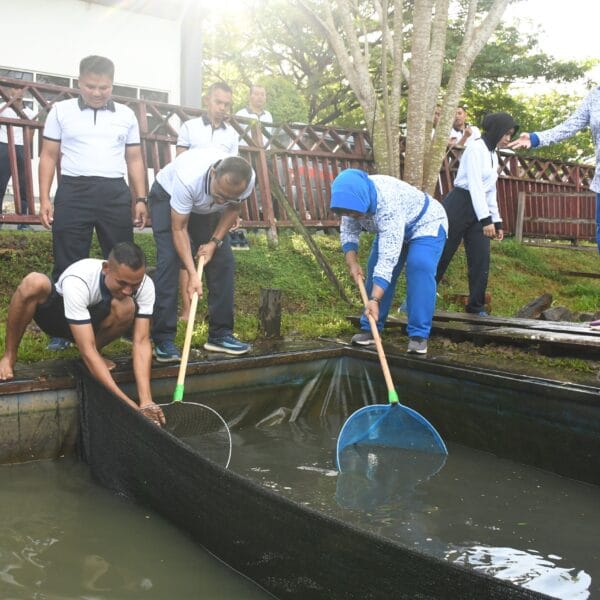 Lantamal XIV Wujudkan Kemandirian Pangan Melalui Panen Raya Lele