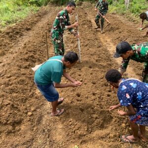 TNI dan Warga Wametkapa Bersatu Kelola Lahan Tidur untuk Ketahanan Pangan Nasional TNI dan Warga Wametkapa Bersatu Kelola Lahan Tidur untuk Ketahanan Pangan Nasional