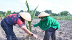 Pematangan Lahan Siap, Kodim 0808/Blitar Tanam Bibit Di Lahan Integrated Farming Desa Dandong