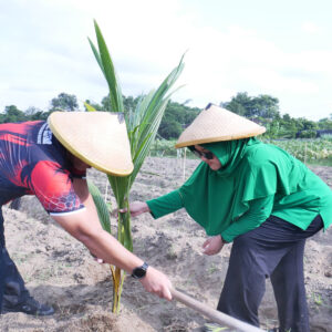 Pematangan Lahan Siap, Kodim 0808/Blitar Tanam Bibit Di Lahan Integrated Farming Desa Dandong