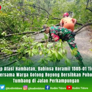Sigap Atasi Hambatan, Babinsa Koramil 1505-01 Tidore Bersama Warga Gotong Royong Bersihkan Pohon Tumbang di Jalan Perkampungan