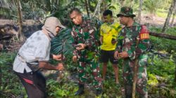 TNI Hijaukan Lingkungan, Koramil 1505-05 Sofifi Tanam Pohon Bersama Warga