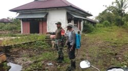 Babinsa Koramil 1710-03/Kuala Kencana Laksanakan Pendampingan Pertanian Di Wilayah Binaan