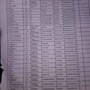 Kapal Tunu Pratama Jaya Tenggelam di Selat Bali, Dunia Transportasi Berduka