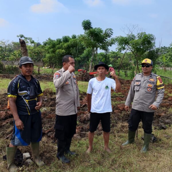 Program Ketahanan Pangan Desa Sukadamai: Wujud Kemandirian Pangan Melalui Penanaman Jagung Hibrida