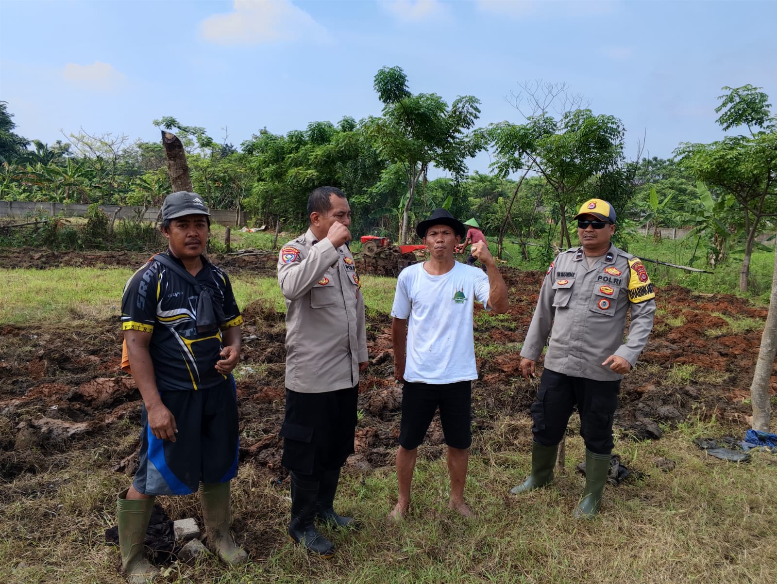 Program Ketahanan Pangan Desa Sukadamai: Wujud Kemandirian Pangan Melalui Penanaman Jagung Hibrida