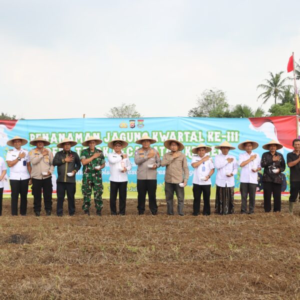 Penanaman Jagung Serentak Bersama Kapolri, Kapolresta Tangerang Siap Dukung Ketahanan Pangan di Setiap Tahapan