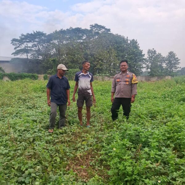 Bhabinkamtibmas Talaga Tinjau Lahan Ketahanan Pangan Milik Warga