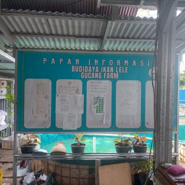 Dukung Ketahanan Pangan, Bhabinkamtibmas Polsek Tigaraksa Bripka M. Giri Manggala Kunjungi Warga Binaan Ketua Kelompok Budidaya Lele di Kp. Lewihalu