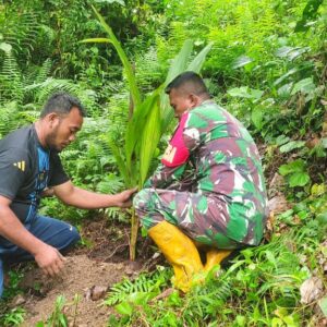 Satgas TMMD 125 Kodim 1506/Namlea Melaksanakan Tanam Bibit Pohon Keras Dengan Target 10.000 Pohon Satgas TMMD 125 Kodim 1506/Namlea Melaksanakan Tanam Bibit Pohon Keras Dengan Target 10.000 Pohon