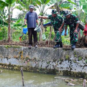 Gugus Tugas Kedaulatan Pangan TNI, Perkuat Ketahanan dan Kemandirian Bangsa Gugus Tugas Kedaulatan Pangan TNI, Perkuat Ketahanan dan Kemandirian Bangsa
