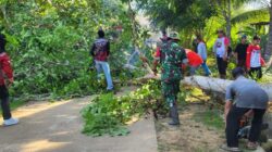 Wujud Sinergi TNI Bersama Instansi Pemerintah Dan Warga Dalam Kegiatan Gotong Royong