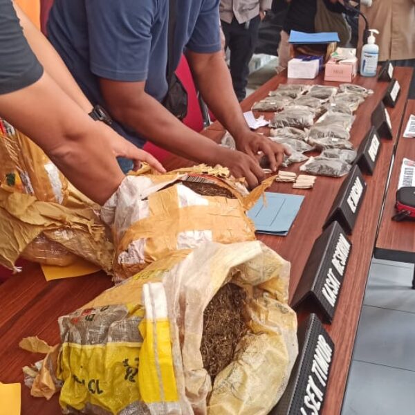 Polresta Sorong Kota Bakar Ganja dan Sabu, Nyatakan Perang Terbuka Terhadap Narkoba