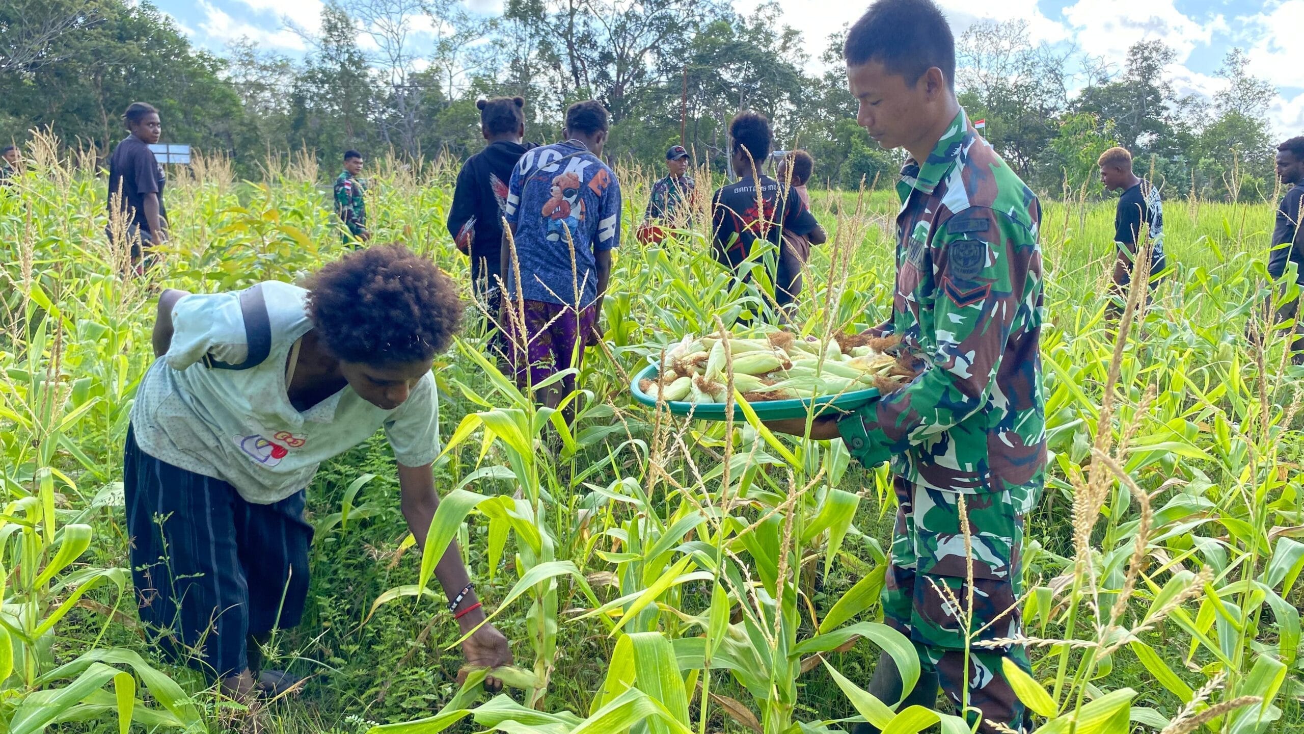 Jagung Melimpah, Persaudaraan Kian Erat di Rawabiru