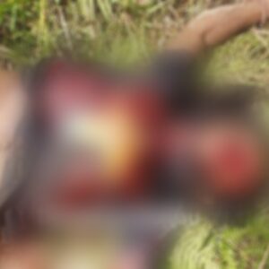 Jelang HUT ke-80 Kemerdekaan RI, TNI Lumpuhkan 8 Anggota OPM
