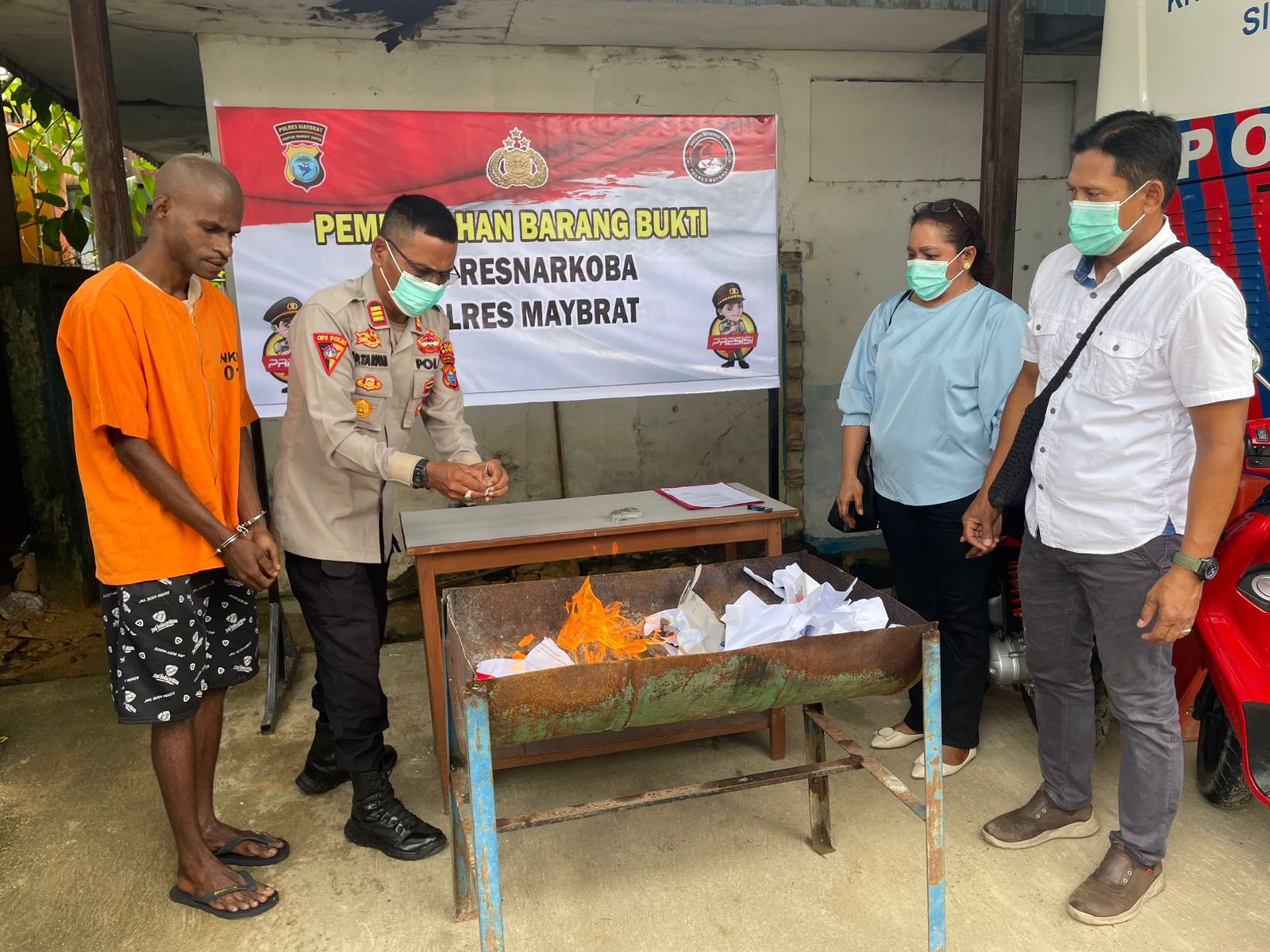 Polres Maybrat Musnahkan Ganja, Tegaskan Perang Lawan Narkoba