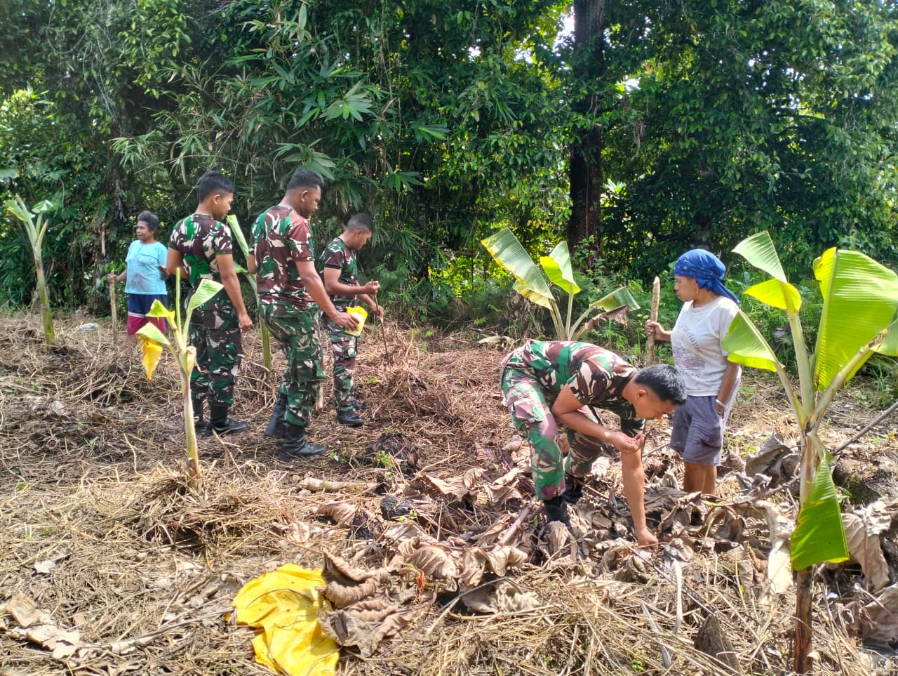 Stabilkan Ketersediaan Bahan Pokok Makanan, Satgas Yonif 410/Alugoro Bantu Warga Perbatasan RI-PNG Tanam Pisang