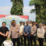 Polri Panen Jagung Serentak, Tuban Jadi Titik Strategis Sumbang Ratusan Ton Polri Panen Jagung Serentak, Tuban Jadi Titik Strategis Sumbang Ratusan Ton