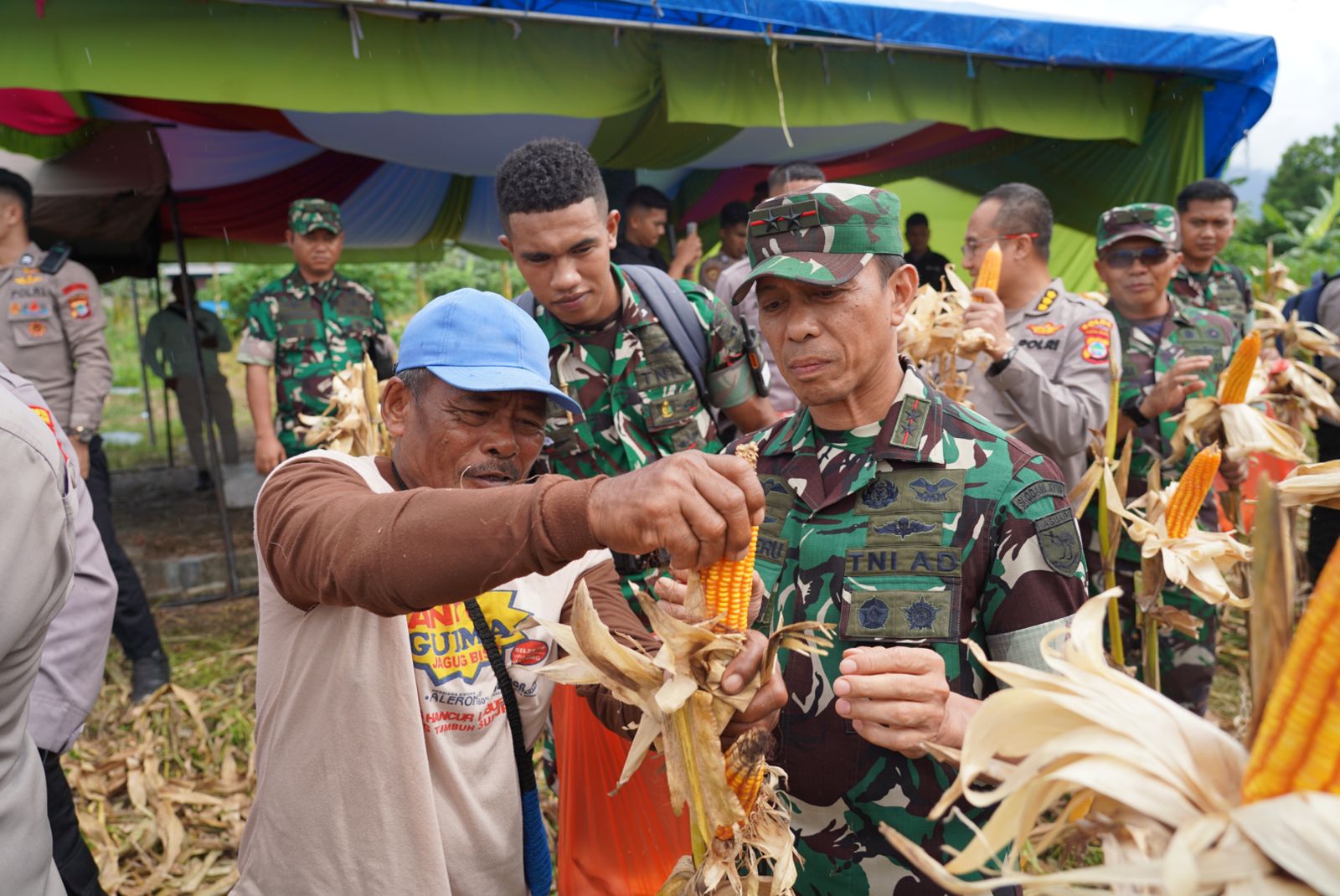 Panen Raya Jagung Satukan Langkah : Kodam Kasuari, Polda dan Pemerintah Papua Barat Kompak Dukung Swasembada Pangan 2025