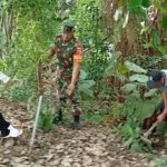 Babinsa Dan Warga Ngadirejo, Tanam Pohon Beringin Dan Saman Untuk Lestarikan Alam Dan Sumber Air
