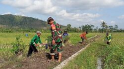 Babinsa Margomulyo Bantu Warga Timbun Jalan Pertanian Untuk Lancarkan Akses