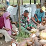 Wujud Kepedulian, Babinsa Koramil 03/Maba Dukung Pengolahan Kopra di Desa Binaan