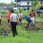 Hari Pertama TMMD ke-126 Kodim 1505/Tidore, Personil Satgas dan Warga Mulai Kerjakan Sasaran Fisik di Desa Wama