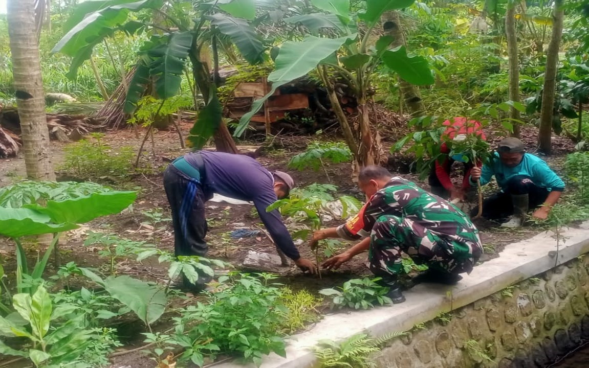 Dukung Penghijauan, Babinsa Garum Bersama Gapoktan Dan Warga Tanam Pohon Mahoni