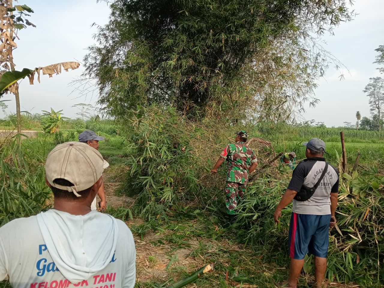 Babinsa Kelurahan Bence Ajak Warga Bersihkan Ranting Bambu Yang Menutupi Akses Jalan Persawahan