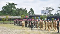 Misi Sukses di Kongo, Wadan Pasmar 3 Sambut Prajurit Satgas BGC XXXIX-F dengan Kehormatan