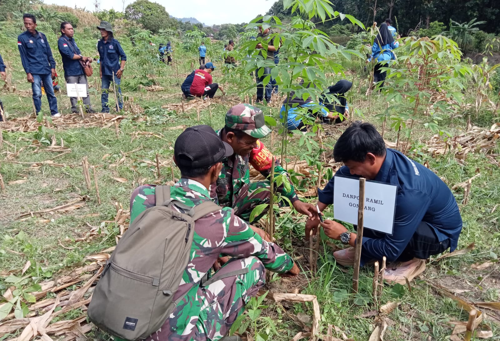 Peringatan HPN 2026, TNI, Insan Pers dan Elemen Masyarakat di Bojonegoro Tanam Ratusan Pohon Produktif