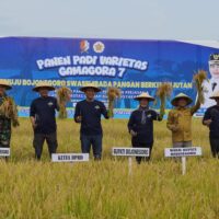 Dandim Bojonegoro damping Bupati Panen Perdana Varietas Unggul Padi Gamagora