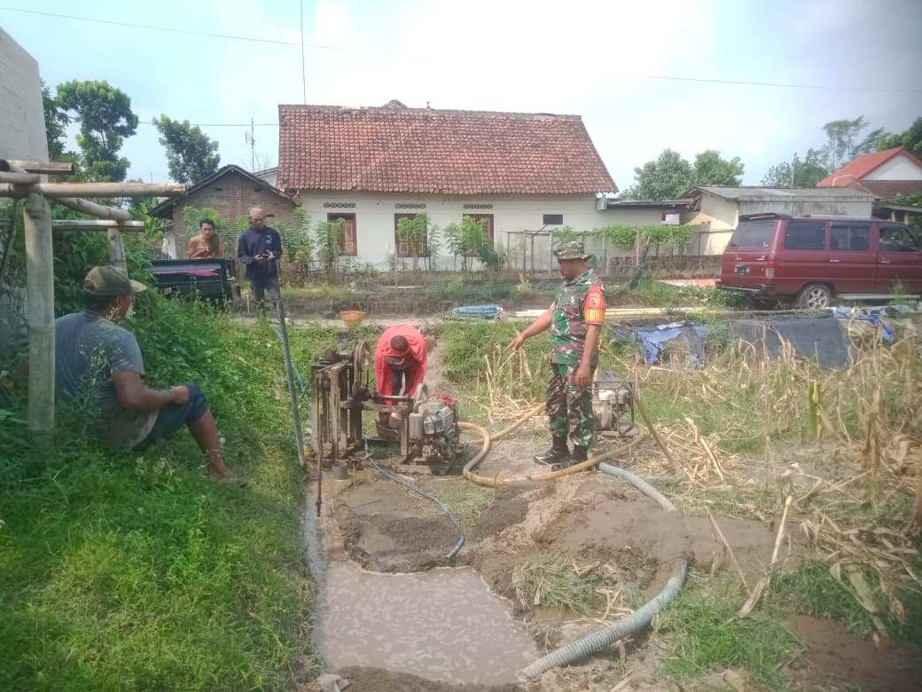 Dukung Ketahanan Pangan, Babinsa Aktif Dampingi Petani Desa Binaan